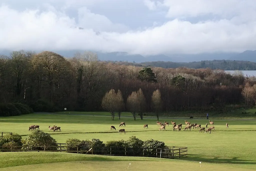 Dom wakacyjny Castlerosse Park Resort Killarney